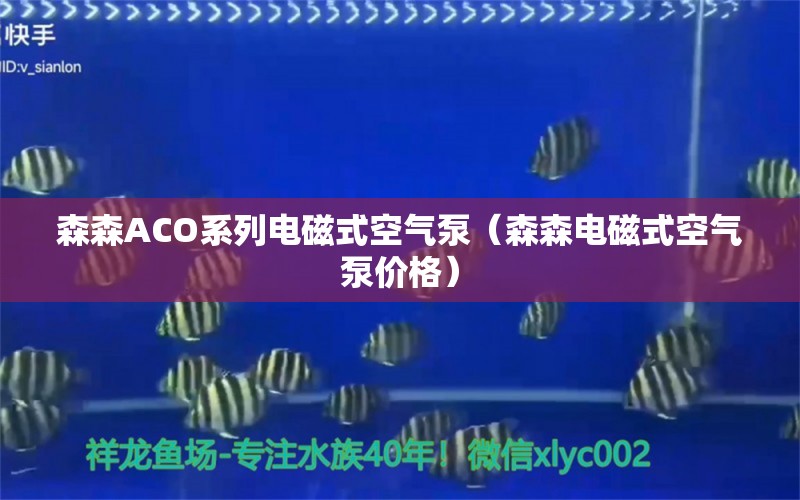 森森ACO系列電磁式空氣泵（森森電磁式空氣泵價格） 森森魚缸