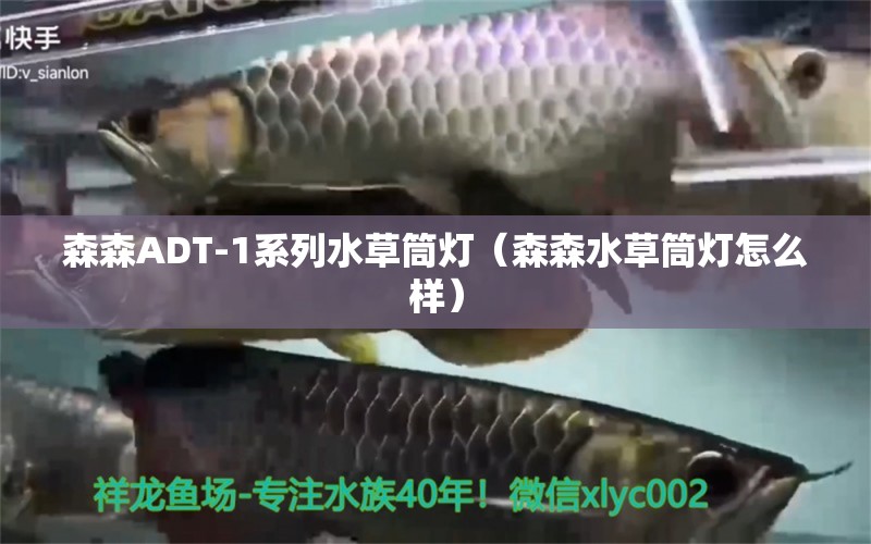 森森ADT-1系列水草筒燈（森森水草筒燈怎么樣） 水草