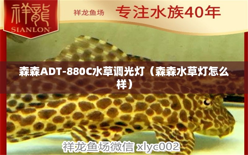 森森ADT-880C水草調(diào)光燈（森森水草燈怎么樣）