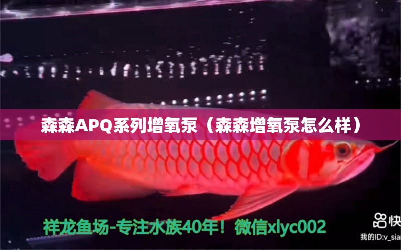 森森APQ系列增氧泵（森森增氧泵怎么樣） 森森魚(yú)缸