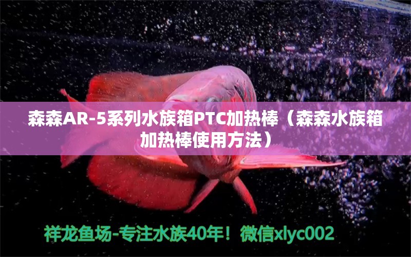 森森AR-5系列水族箱PTC加熱棒（森森水族箱加熱棒使用方法）