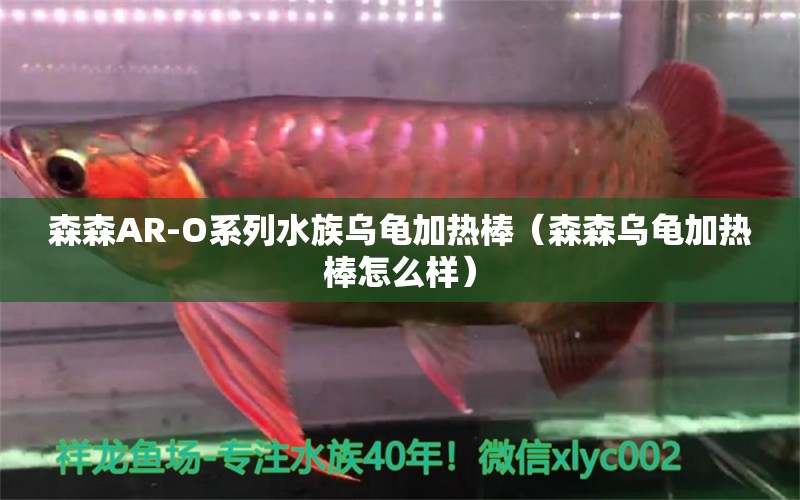 森森AR-O系列水族烏龜加熱棒（森森烏龜加熱棒怎么樣）