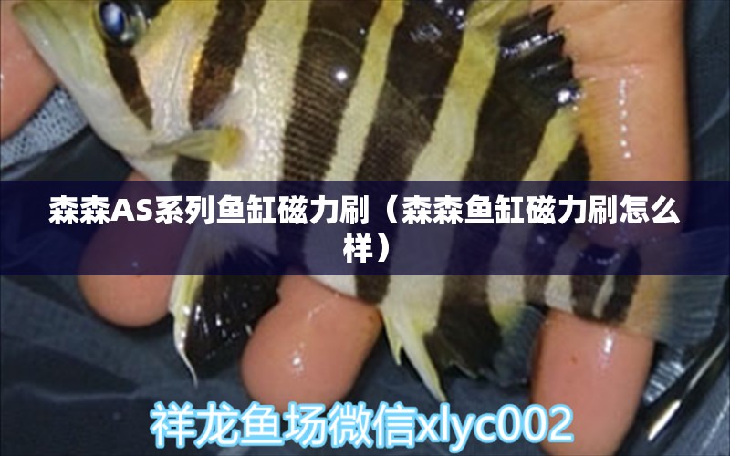 森森AS系列魚缸磁力刷（森森魚缸磁力刷怎么樣）