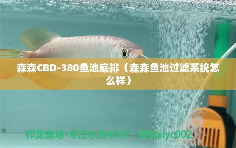 森森CBD-380魚池底排（森森魚池過濾系統(tǒng)怎么樣）