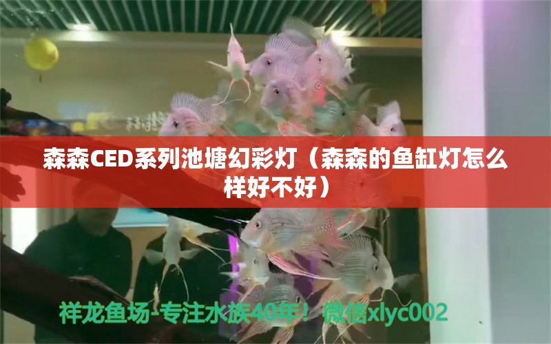 森森CED系列池塘幻彩燈（森森的魚缸燈怎么樣好不好）