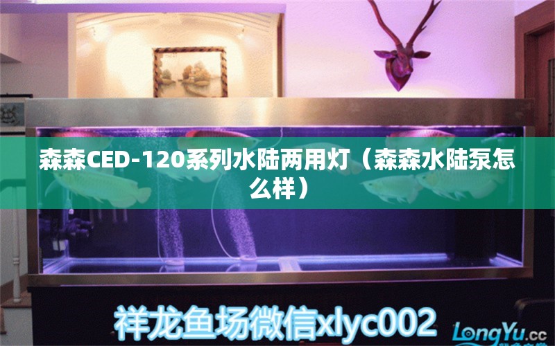 森森CED-120系列水陸兩用燈（森森水陸泵怎么樣）