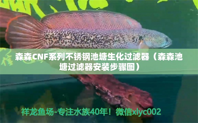 森森CNF系列不銹鋼池塘生化過(guò)濾器（森森池塘過(guò)濾器安裝步驟圖）