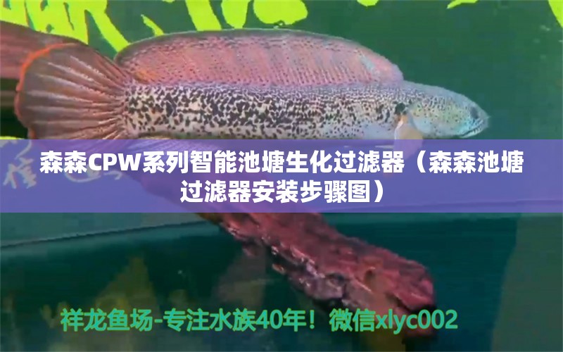 森森CPW系列智能池塘生化過濾器（森森池塘過濾器安裝步驟圖）