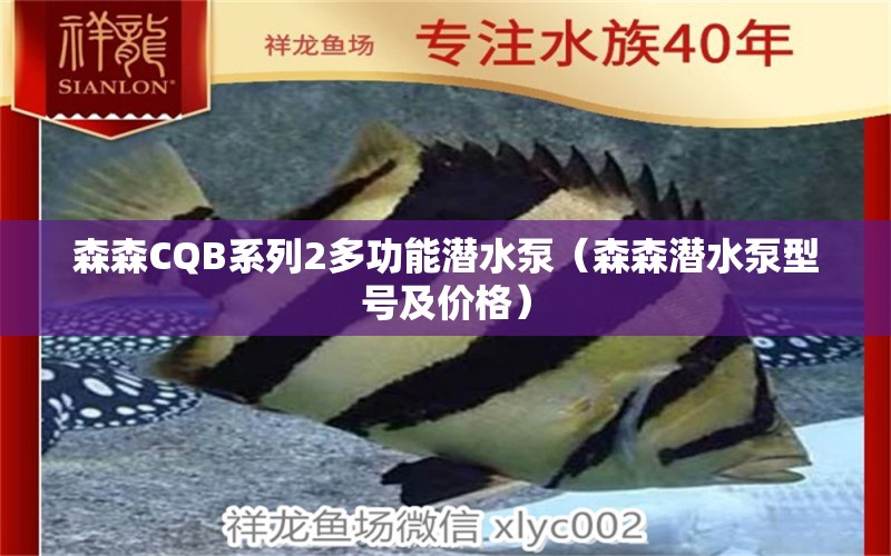 森森CQB系列2多功能潛水泵（森森潛水泵型號及價格） 森森魚缸