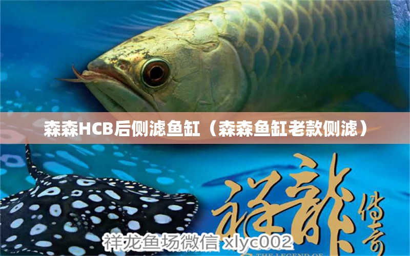 森森HCB后側濾魚缸（森森魚缸老款側濾）