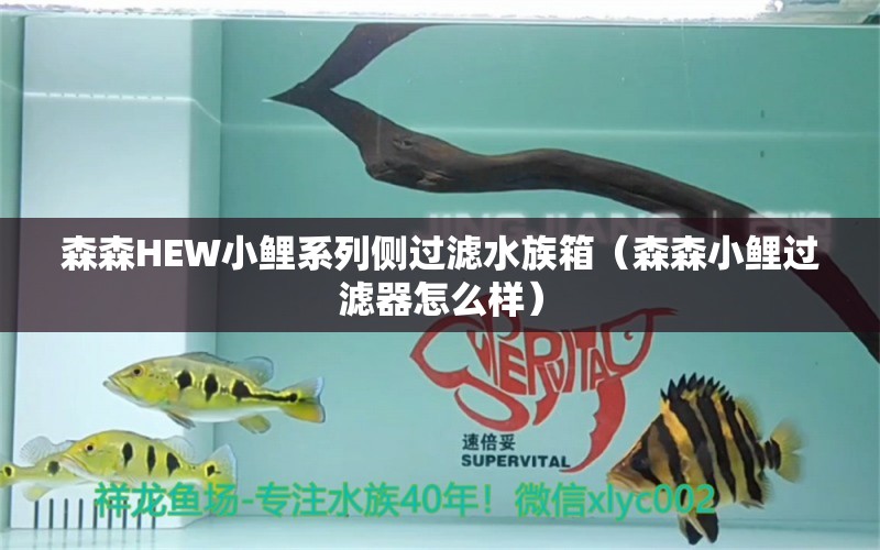 森森HEW小鯉系列側(cè)過(guò)濾水族箱（森森小鯉過(guò)濾器怎么樣）