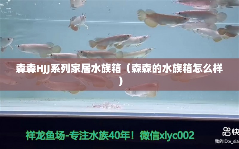 森森HJJ系列家居水族箱（森森的水族箱怎么樣）