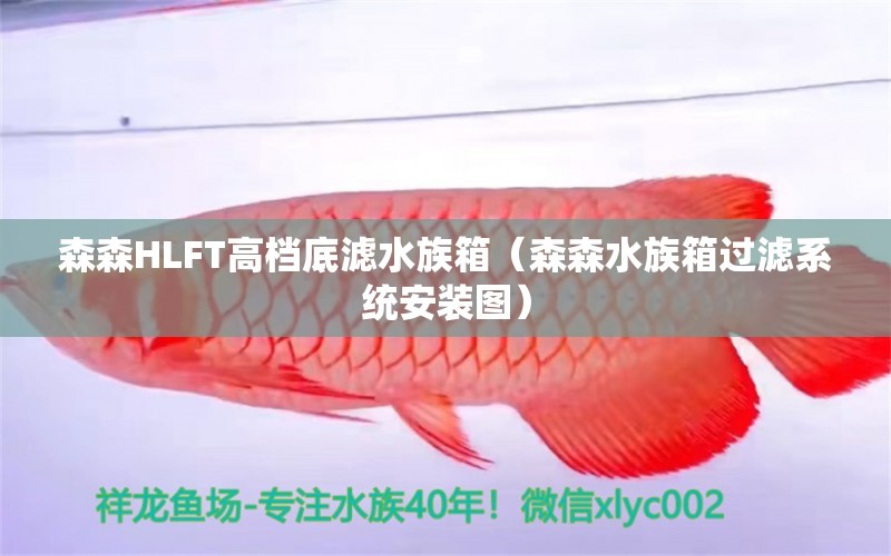 森森HLFT高檔底濾水族箱（森森水族箱過濾系統(tǒng)安裝圖） 魚缸/水族箱