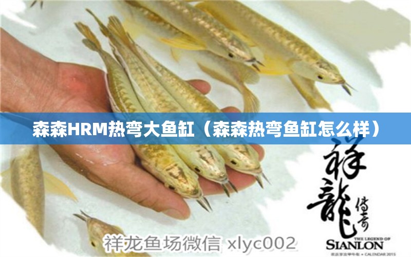 森森HRM熱彎大魚缸（森森熱彎魚缸怎么樣） 森森魚缸