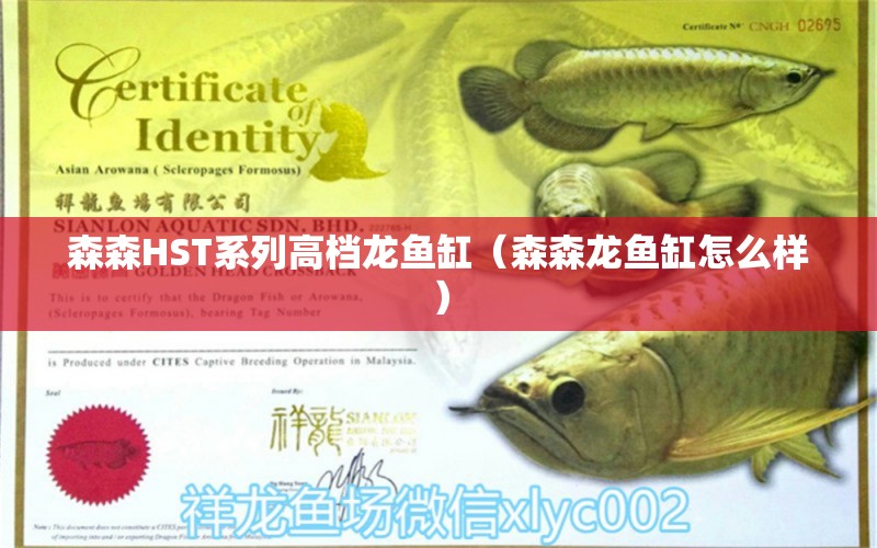 森森HST系列高檔龍魚缸（森森龍魚缸怎么樣）