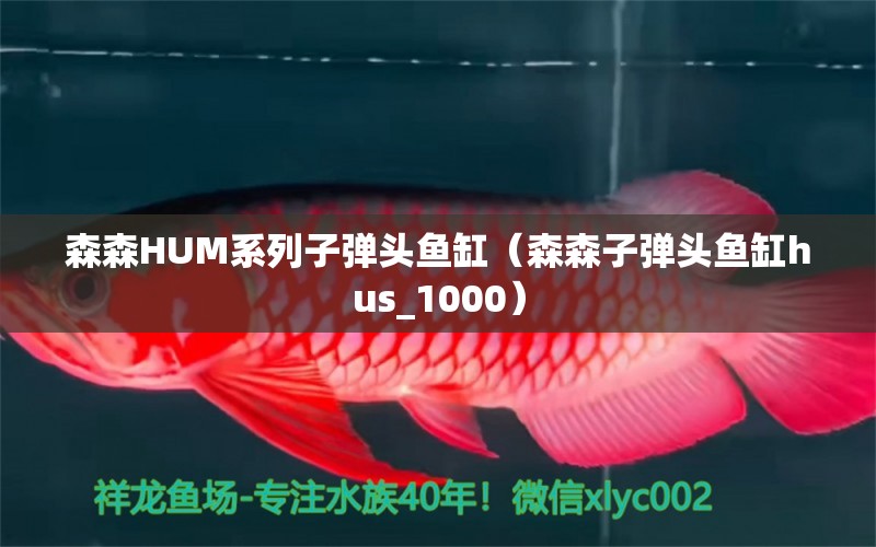 森森HUM系列子彈頭魚缸（森森子彈頭魚缸hus_1000） 森森魚缸