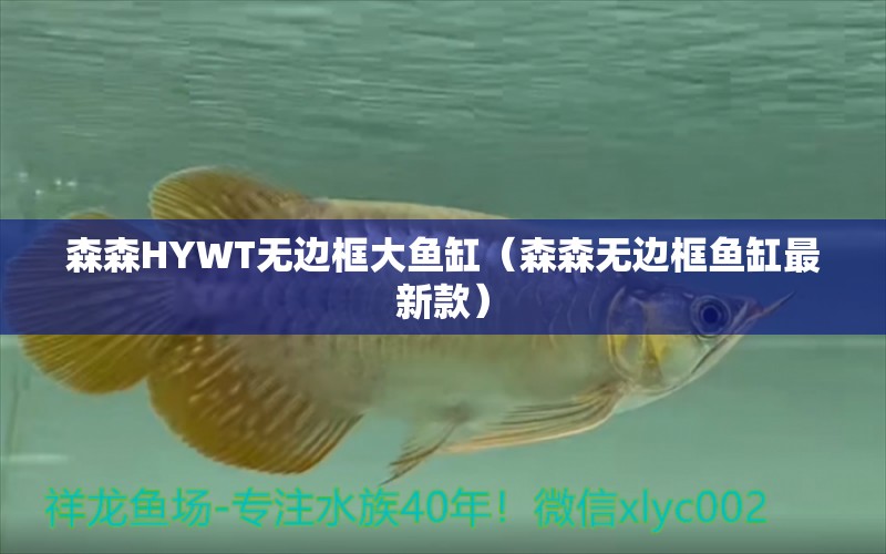 森森HYWT無邊框大魚缸（森森無邊框魚缸最新款）