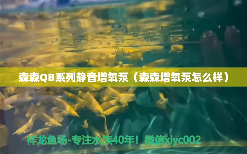 森森QB系列靜音增氧泵（森森增氧泵怎么樣） 森森魚缸