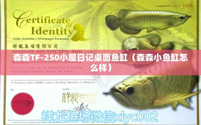 森森TF-250小屋日記桌面魚缸（森森小魚缸怎么樣）