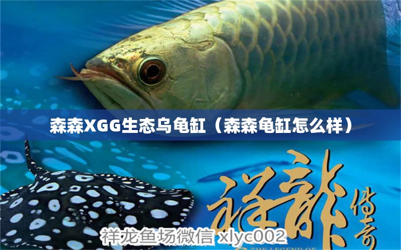 森森XGG生態(tài)烏龜缸（森森龜缸怎么樣）