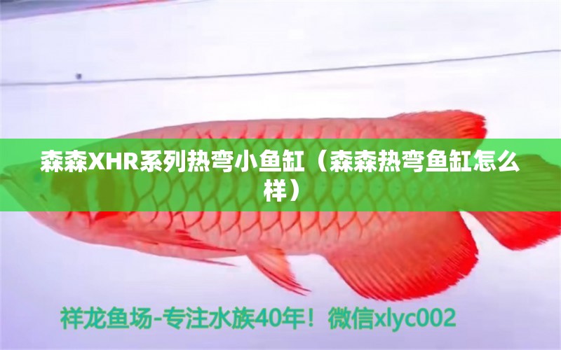 森森XHR系列熱彎小魚缸（森森熱彎魚缸怎么樣）