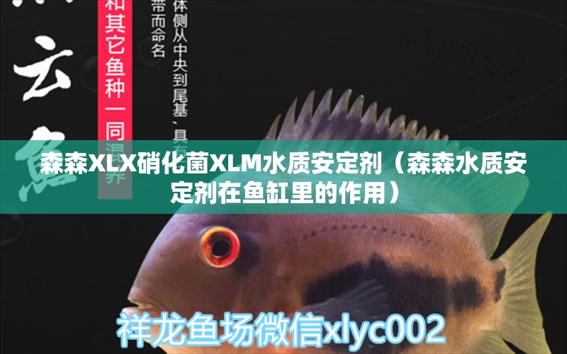 森森XLX硝化菌XLM水質(zhì)安定劑（森森水質(zhì)安定劑在魚(yú)缸里的作用）