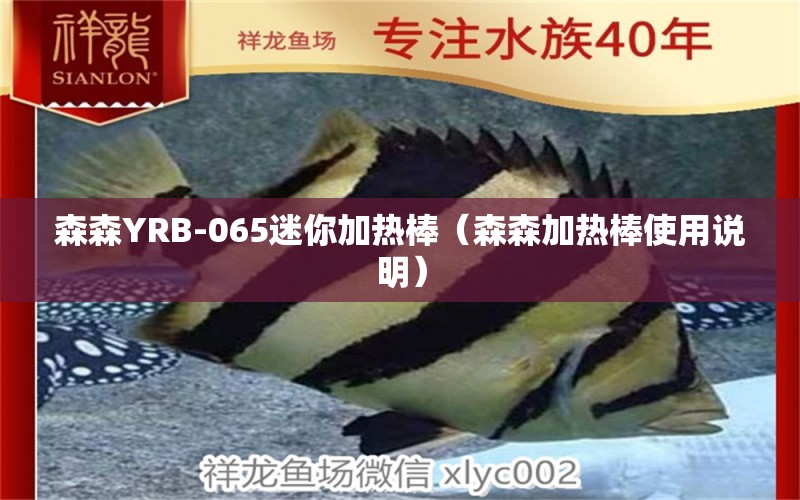 森森YRB-065迷你加熱棒（森森加熱棒使用說明）