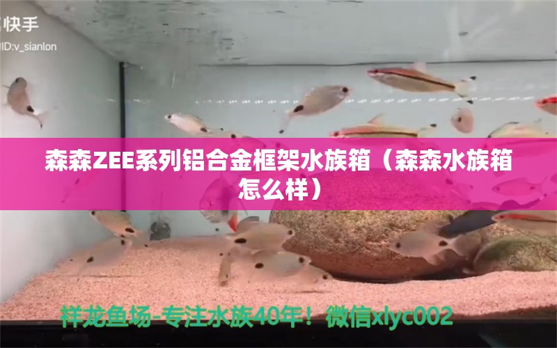 森森ZEE系列鋁合金框架水族箱（森森水族箱怎么樣）