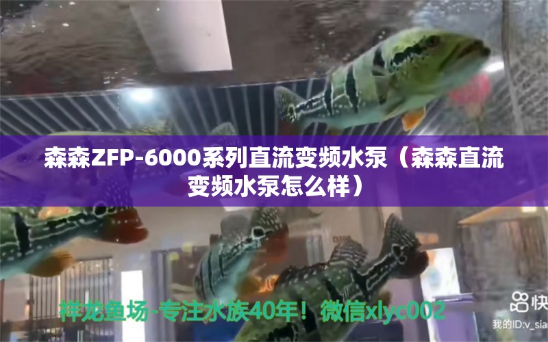 森森ZFP-6000系列直流變頻水泵（森森直流變頻水泵怎么樣） 森森魚缸