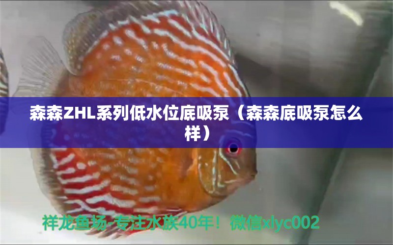 森森ZHL系列低水位底吸泵（森森底吸泵怎么樣） 森森魚缸