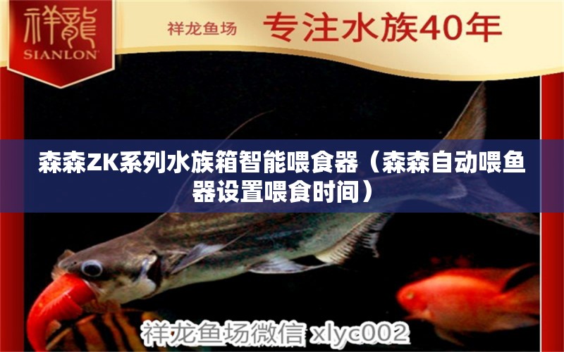 森森ZK系列水族箱智能喂食器（森森自動喂魚器設置喂食時間） 魚缸/水族箱