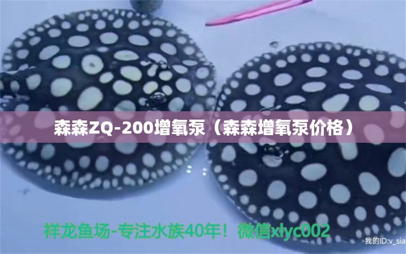 森森ZQ-200增氧泵（森森增氧泵價(jià)格）