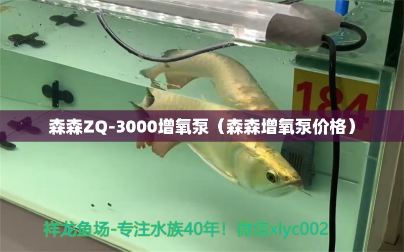 森森ZQ-3000增氧泵（森森增氧泵價格）