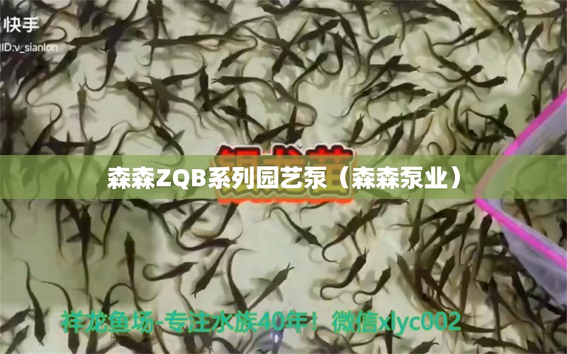 森森ZQB系列園藝泵（森森泵業(yè)） 森森魚缸