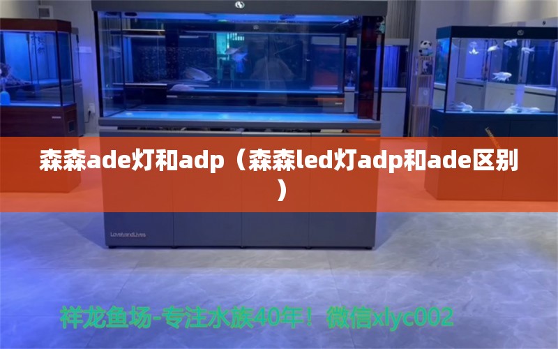 森森ade燈和adp（森森led燈adp和ade區(qū)別） 森森魚缸