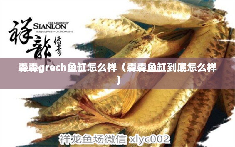 森森grech魚缸怎么樣（森森魚缸到底怎么樣）