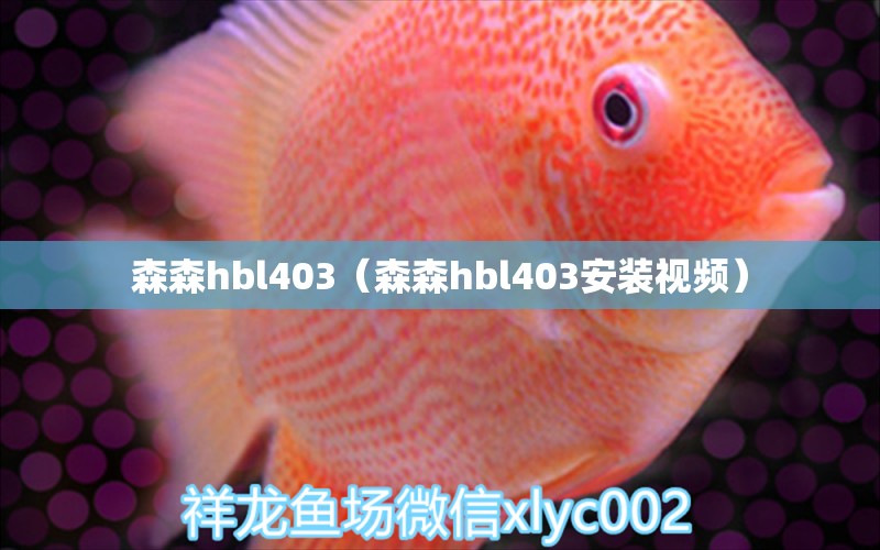 森森h(huán)bl403（森森h(huán)bl403安裝視頻） 森森魚缸