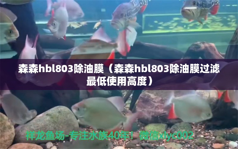 森森h(huán)bl803除油膜（森森h(huán)bl803除油膜過濾最低使用高度） 森森魚缸