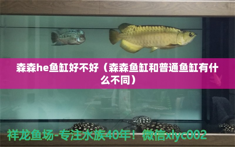 森森h(huán)e魚缸好不好（森森魚缸和普通魚缸有什么不同）