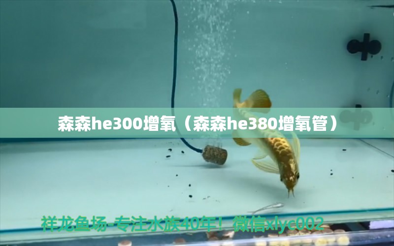 森森h(huán)e300增氧（森森h(huán)e380增氧管） 森森魚缸