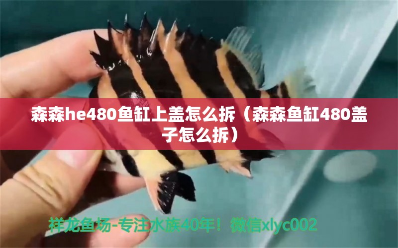 森森h(huán)e480魚缸上蓋怎么拆（森森魚缸480蓋子怎么拆） 廣州龍魚批發(fā)市場