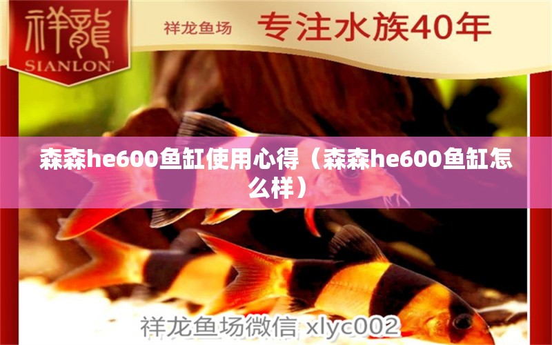 森森h(huán)e600魚缸使用心得（森森h(huán)e600魚缸怎么樣）