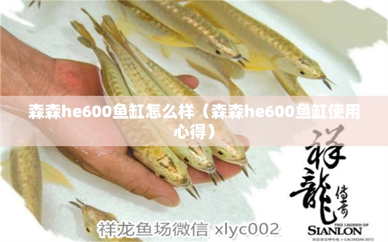 森森h(huán)e600魚缸怎么樣（森森h(huán)e600魚缸使用心得）