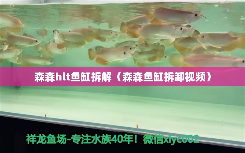 森森h(huán)lt魚缸拆解（森森魚缸拆卸視頻）