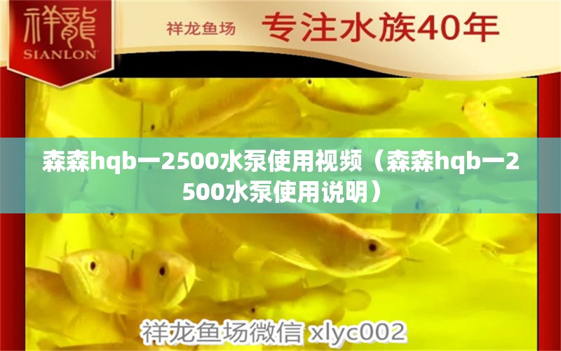 森森h(huán)qb一2500水泵使用視頻（森森h(huán)qb一2500水泵使用說明） 過濾設(shè)備