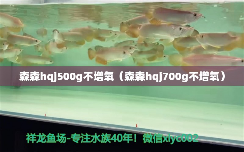 森森h(huán)qj500g不增氧（森森h(huán)qj700g不增氧）