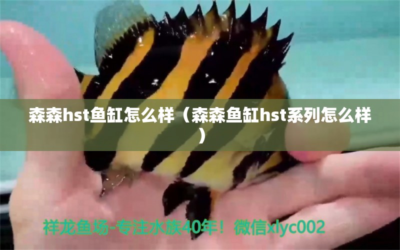 森森h(huán)st魚缸怎么樣（森森魚缸hst系列怎么樣） 森森魚缸