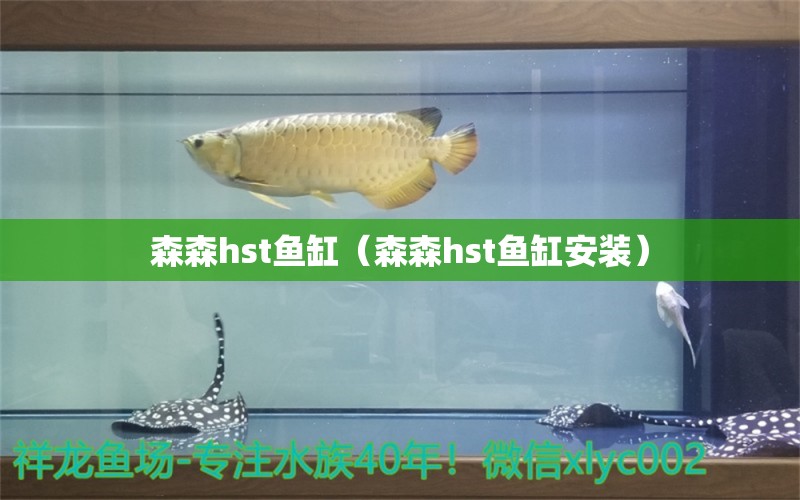 森森h(huán)st魚(yú)缸（森森h(huán)st魚(yú)缸安裝）