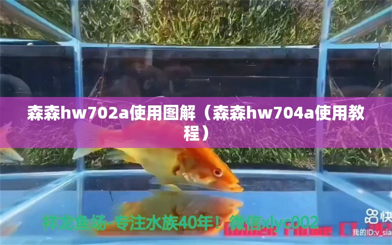 森森h(huán)w702a使用圖解（森森h(huán)w704a使用教程） 森森魚缸