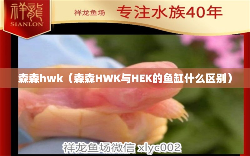 森森h(huán)wk（森森HWK與HEK的魚缸什么區(qū)別）